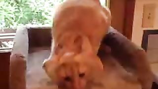 cat with waffle on face