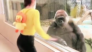 funny video 314