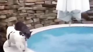 very funny 15