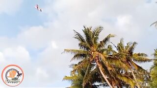 Rubber Powered Airplane