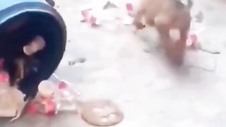 funny video 2 5