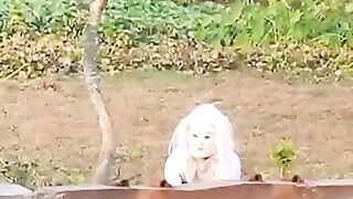 Funny ghost 3