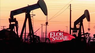 Flor salvaje 16