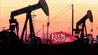 Flor salvaje 19