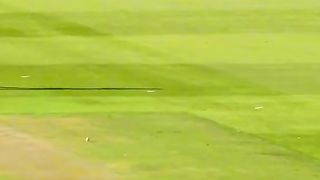 World cricket beauty