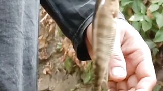 This is my catch, tilapia fish