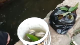 We need entertainment by fishing