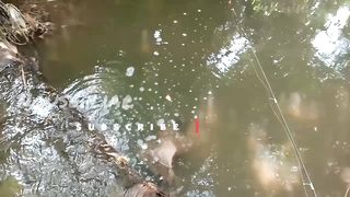 When Takan's soul mate went nowhere, he lost his fishing