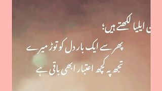 Poetry 360