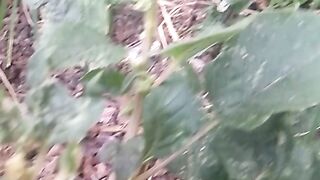 animal lovers 7