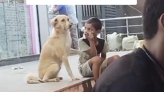 Dog Love with Kid