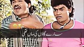 Funny Clips 5