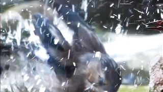 Most Beautiful Birds| 4K Nature | Peaceful View | Shortsvideo | febspot