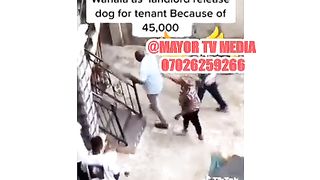 Wicked landlord