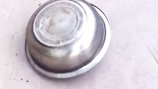Well done, man! ????????#dog