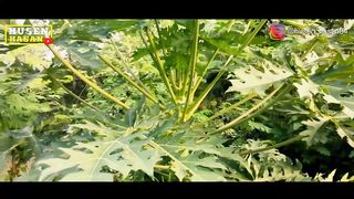 DJ SHOLAWAT QOD ANSHOHA SLOW FULL BASS
