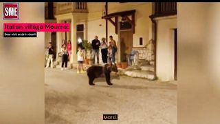 TOP 5 UNINVITED ANIMALS GUEST