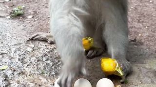 Leave the rest for the next monkey