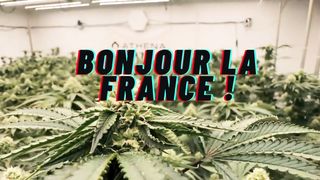 Bonjour la France !