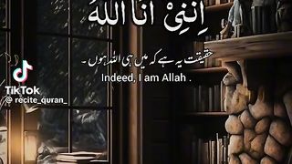 Indeed 6
