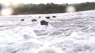PARAÍSO EM APUÍ AMAZONAS A LINDA CACHOEIRA DE MONTE CRISTO 3