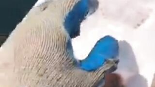 Very nice clip
