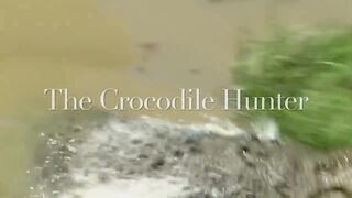 The GRUESOME Death OF steve Irwin "  The Crocodile Humter"|Full Story