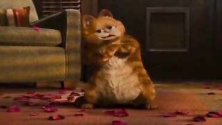 Funny cat