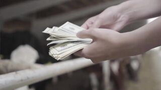 This APP Will Earn You $1,000/Day To Copy Paste Text As a Beginner in 2022