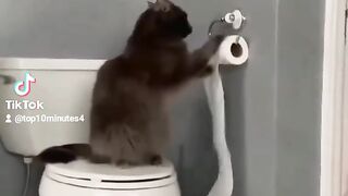 Funny Animals Videos  #Funny Animal #Videos 2022  #Cats And Dogs #Videos - Funniest