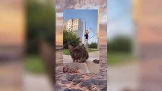 Tiktok Compilation Part 13