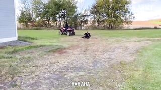 A Perfect Scare - Fails of the Week I FailArmy