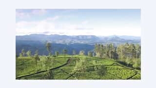View in Sri Lanka #5