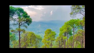 View In India  #1