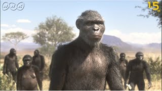 [人類誕生CG] 370万年前の人類は虫を食べていた！ NHKスペシャル NHK