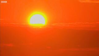 Cubs Meet Adult Tiger for the First Time _ Tigers About The House _ BBC Earth.mp4