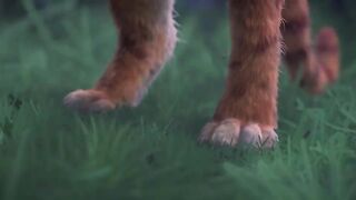 Puss In Boots