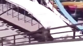 ????????????????