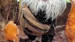 Приколи