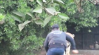 Dangerous Tiger Attack on Man _ Nouman Hassan _.mp4