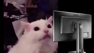 Classic meme #19 turn of dark mode