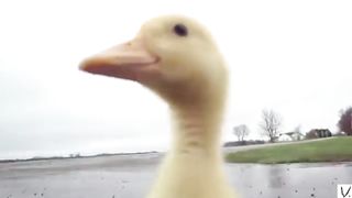 My name is Giovanni Giorgio #8