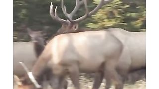 Bro couldn’t handle rejection | its really hit hard