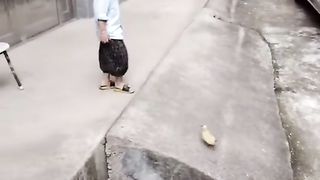 Lets race with duck who will win first | really challenging