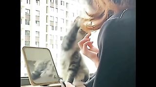 Funny cats video, cats fun , baby cat, kitten