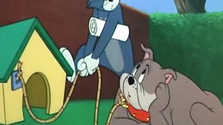 Tom & jerry  funny cartoon to watch