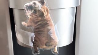 Funny | Brewing Laughs Over Coffee | FunFM