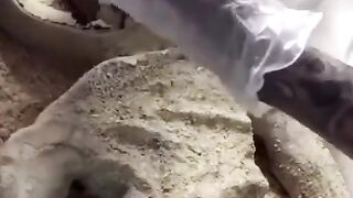 Funny | Mexican Aliens: They're Real, I Swear! | FunFM