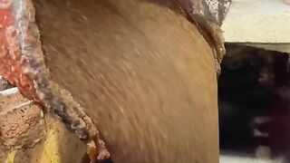 Sugar fectory in India
