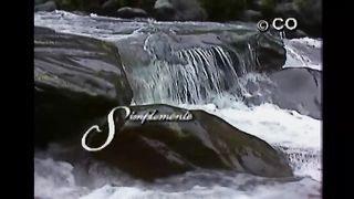 Simplemente Maria 137